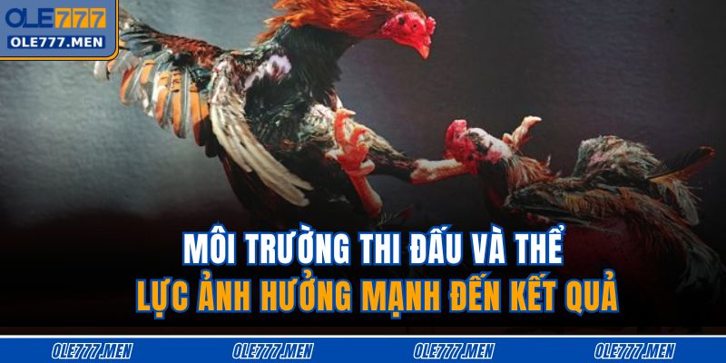 Môi trường thi đấu và thể lực ảnh hưởng mạnh đến kết quả